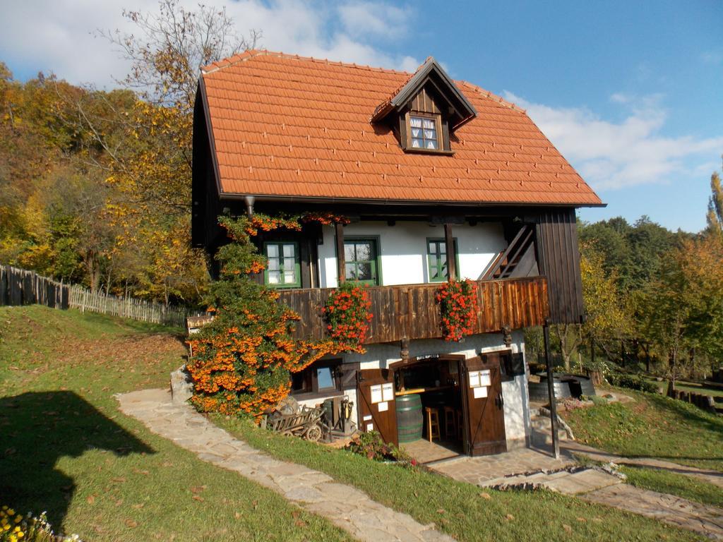 Apartmani Etno Kuca Pod Okicem Samobor Bilik gambar